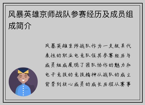 风暴英雄京师战队参赛经历及成员组成简介