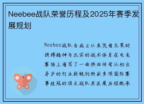 Neebee战队荣誉历程及2025年赛季发展规划
